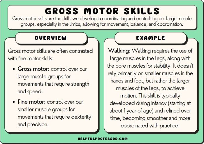 Fine motor skills